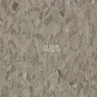 Линолеум Tarkett Iq Granit Safe T GREY BROWN 0704 фото 1 | FLOORDEALER